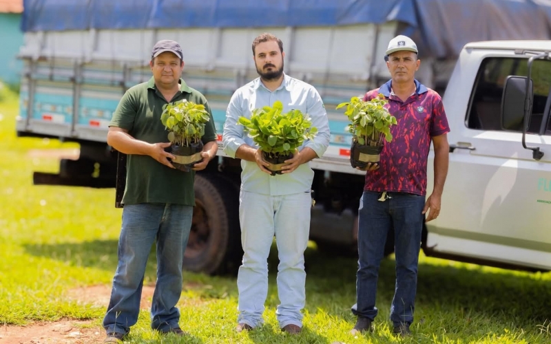 BP Bioenergy doa 100 mudas de ipê para ações de arborização em Itapagipe