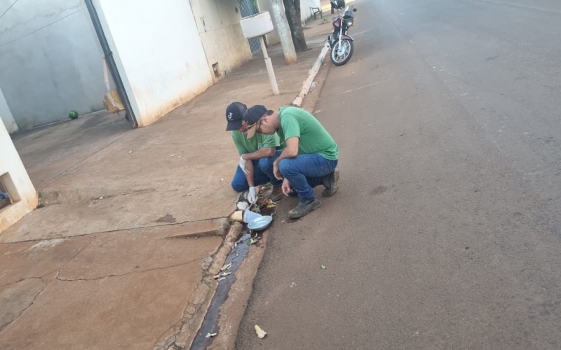 Campanha de Prevenção contra a Dengue